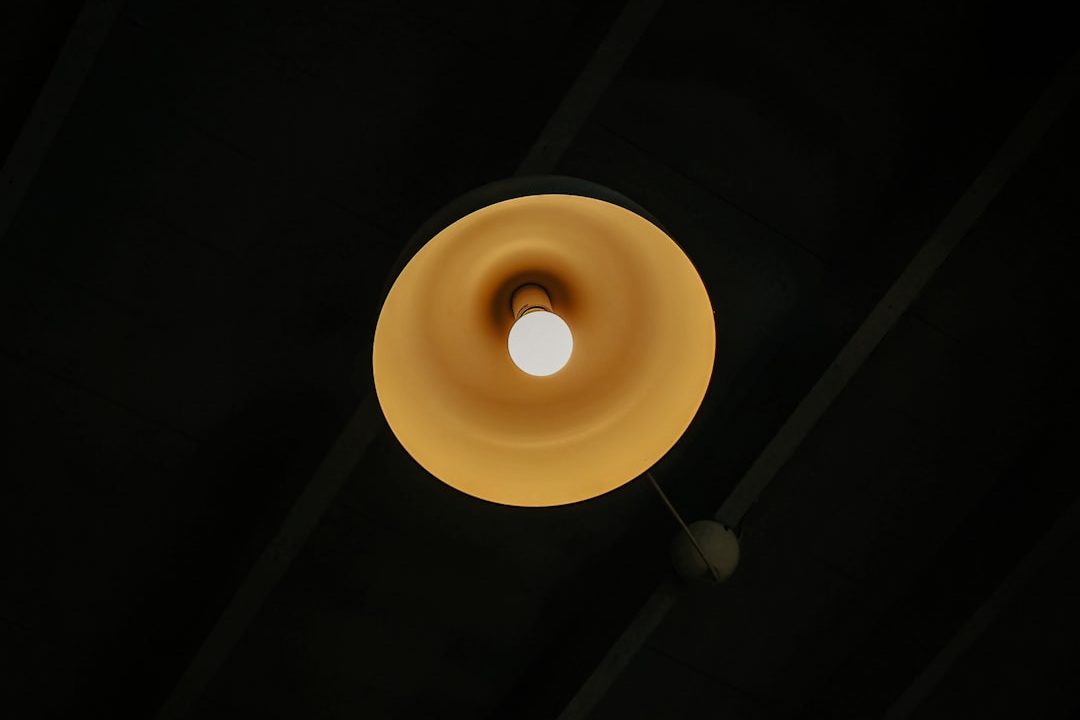 Photo ceiling light fixture