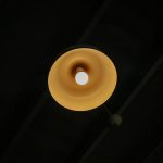 Photo ceiling light fixture