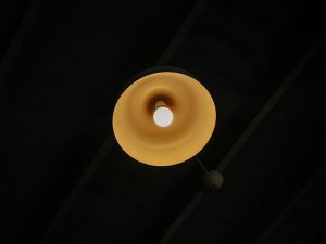 Photo ceiling light fixture