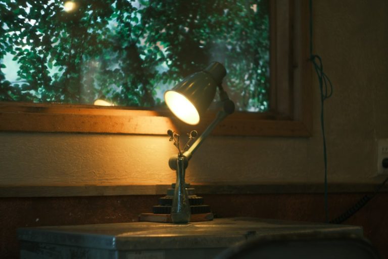 Photo exposed bulb portable reading lamp space-saving