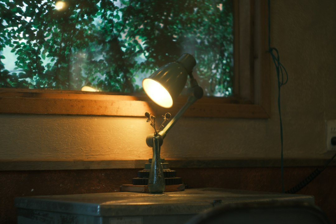 Photo exposed bulb portable reading lamp space-saving